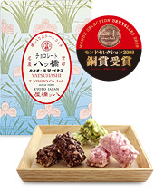 チョコレート八ッ橋