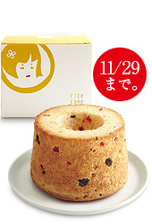 $B=cJF%7%U%)%s%1!<%-(B $B%A!<%:(B 11/30 $BD+$^$G!#(B